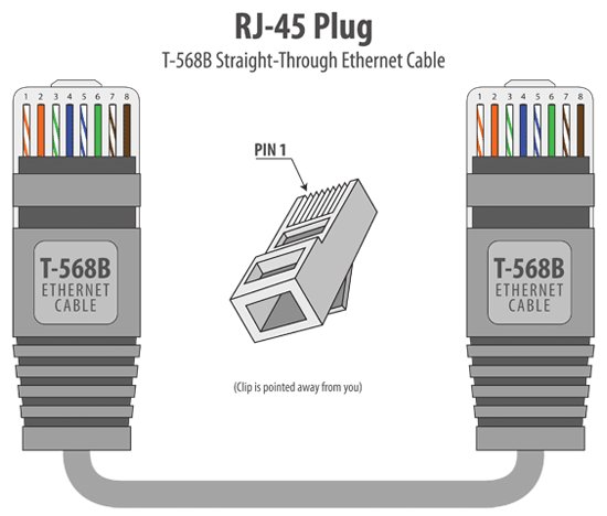 T568B