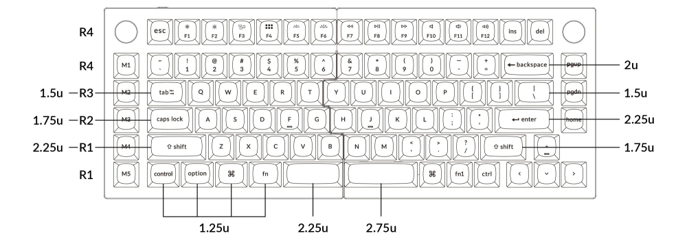 q11 layout